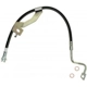 Purchase Top-Quality Front Brake Hose by RAYBESTOS - BH382705 pa11