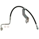Purchase Top-Quality Front Brake Hose by RAYBESTOS - BH382706 pa13