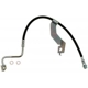 Purchase Top-Quality Front Brake Hose by RAYBESTOS - BH382706 pa8