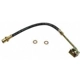 Purchase Top-Quality Front Brake Hose by RAYBESTOS - BH38276 pa2