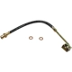 Purchase Top-Quality Front Brake Hose by RAYBESTOS - BH38276 pa4