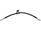 Purchase Top-Quality Front Brake Hose by RAYBESTOS - BH38280 pa14