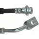 Purchase Top-Quality Front Brake Hose by RAYBESTOS - BH382803 pa1
