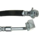 Purchase Top-Quality Front Brake Hose by RAYBESTOS - BH382804 pa1