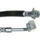Purchase Top-Quality Front Brake Hose by RAYBESTOS - BH382804 pa13