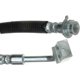 Purchase Top-Quality Front Brake Hose by RAYBESTOS - BH382804 pa3