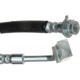 Purchase Top-Quality Front Brake Hose by RAYBESTOS - BH382804 pa8