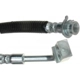 Purchase Top-Quality Front Brake Hose by RAYBESTOS - BH382804 pa9