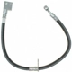 Purchase Top-Quality Front Brake Hose by RAYBESTOS - BH382809 pa2