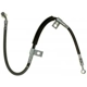 Purchase Top-Quality Front Brake Hose by RAYBESTOS - BH382822 pa12