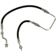 Purchase Top-Quality Front Brake Hose by RAYBESTOS - BH382823 pa4