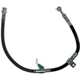 Purchase Top-Quality Front Brake Hose by RAYBESTOS - BH382828 pa2