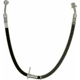 Purchase Top-Quality Front Brake Hose by RAYBESTOS - BH382831 pa11