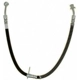 Purchase Top-Quality Front Brake Hose by RAYBESTOS - BH382831 pa2