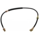 Purchase Top-Quality Front Brake Hose by RAYBESTOS - BH38286 pa14