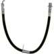 Purchase Top-Quality Front Brake Hose by RAYBESTOS - BH382875 pa12