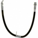 Purchase Top-Quality Front Brake Hose by RAYBESTOS - BH382875 pa5