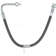 Purchase Top-Quality Front Brake Hose by RAYBESTOS - BH382881 pa9
