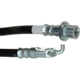 Purchase Top-Quality RAYBESTOS - BH382884 - Front Brake Hose pa13