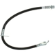 Purchase Top-Quality RAYBESTOS - BH382884 - Front Brake Hose pa14