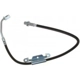 Purchase Top-Quality Front Brake Hose by RAYBESTOS - BH382905 pa10