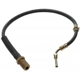 Purchase Top-Quality Front Brake Hose by RAYBESTOS - BH38292 pa12