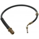 Purchase Top-Quality Front Brake Hose by RAYBESTOS - BH38292 pa13