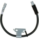 Purchase Top-Quality RAYBESTOS - BH382923 - Front Brake Hose pa13