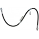 Purchase Top-Quality Front Brake Hose by RAYBESTOS - BH382930 pa10