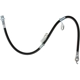 Purchase Top-Quality Front Brake Hose by RAYBESTOS - BH382930 pa12