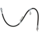 Purchase Top-Quality Front Brake Hose by RAYBESTOS - BH382930 pa4