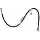 Purchase Top-Quality Front Brake Hose by RAYBESTOS - BH382930 pa9