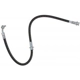 Purchase Top-Quality Front Brake Hose by RAYBESTOS - BH382972 pa9