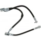 Purchase Top-Quality Front Brake Hose by RAYBESTOS - BH382986 pa8