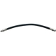Purchase Top-Quality Front Brake Hose by RAYBESTOS - BH38300 pa9