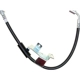 Purchase Top-Quality RAYBESTOS - BH383007 - Front Brake Hose pa14