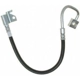 Purchase Top-Quality Front Brake Hose by RAYBESTOS - BH383019 pa2