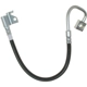 Purchase Top-Quality Front Brake Hose by RAYBESTOS - BH383019 pa4