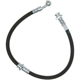 Purchase Top-Quality Front Brake Hose by RAYBESTOS - BH383023 pa14