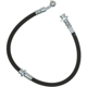 Purchase Top-Quality Front Brake Hose by RAYBESTOS - BH383023 pa4