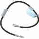 Purchase Top-Quality Front Brake Hose by RAYBESTOS - BH383038 pa6