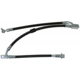Purchase Top-Quality Front Brake Hose by RAYBESTOS - BH383054 pa10
