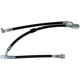 Purchase Top-Quality Front Brake Hose by RAYBESTOS - BH383054 pa12