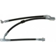 Purchase Top-Quality Front Brake Hose by RAYBESTOS - BH383054 pa2