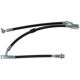 Purchase Top-Quality Front Brake Hose by RAYBESTOS - BH383054 pa4