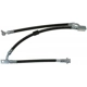 Purchase Top-Quality Front Brake Hose by RAYBESTOS - BH383054 pa9