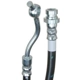 Purchase Top-Quality Front Brake Hose by RAYBESTOS - BH383055 pa1