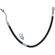 Purchase Top-Quality Front Brake Hose by RAYBESTOS - BH383055 pa14