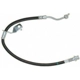 Purchase Top-Quality Front Brake Hose by RAYBESTOS - BH383056 pa2
