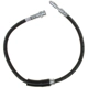 Purchase Top-Quality Front Brake Hose by RAYBESTOS - BH383074 pa10